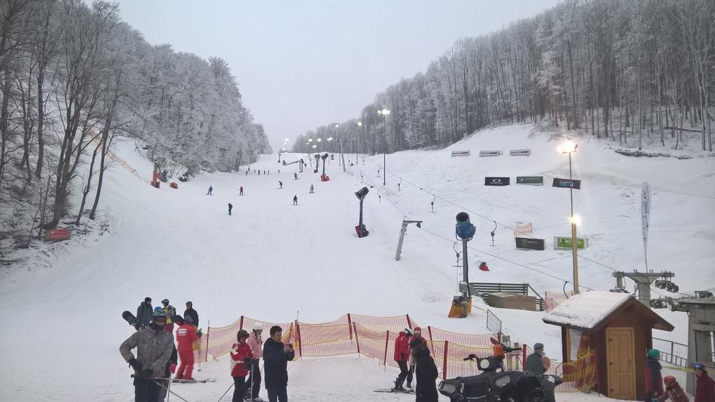 Pongrácz Apartman Zirc Esterno foto