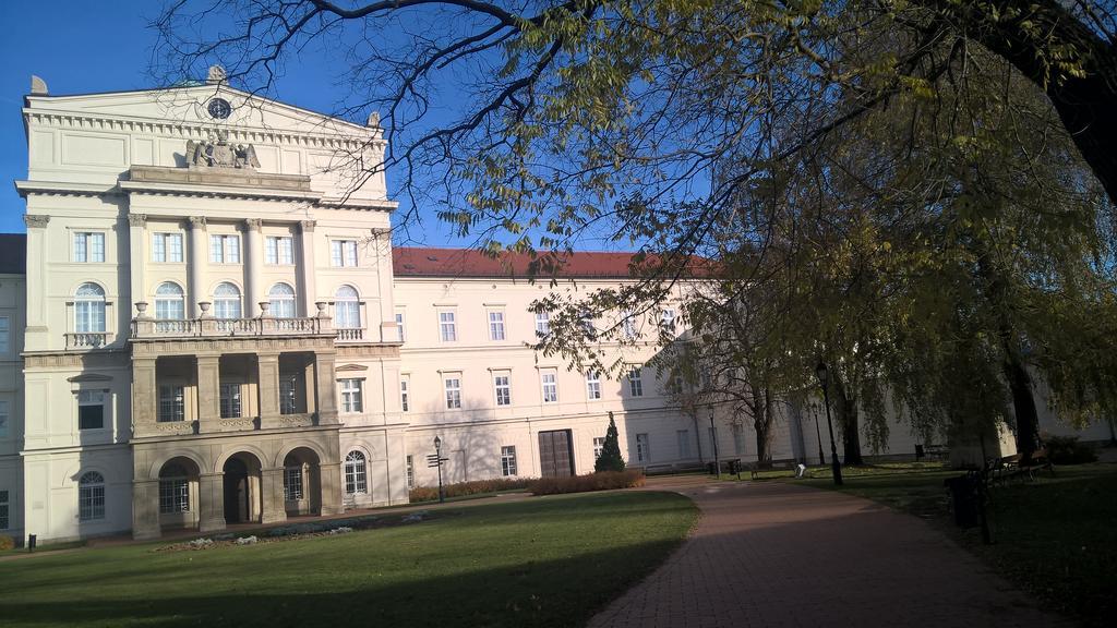 Pongrácz Apartman Zirc Esterno foto