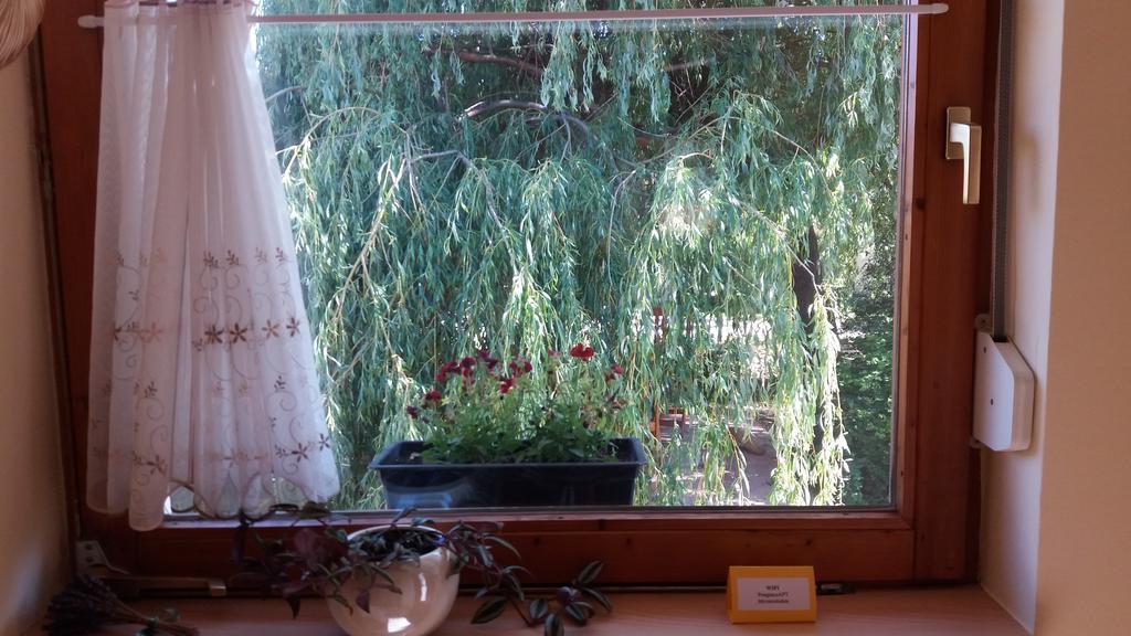 Pongrácz Apartman Zirc Esterno foto